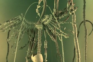 &#39;Pareidolia&#39; - HD video for projection with sound 