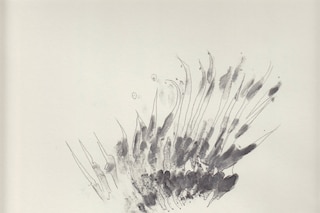 Workbook/research imagery courtesy of PHNX