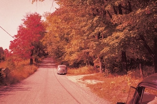 The Road Trip by Anton Bures