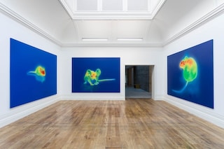 PF_Fanta-MLN_Williams_Installation view - Picture 