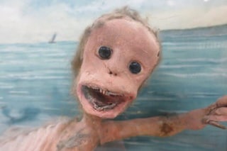 The mermaid