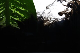 Makoto Azuma artwork for Toga