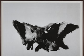 Hugo Wilson 'Sphenoid Rorschach', 2009