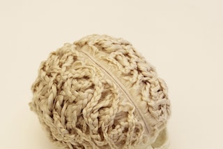 Hugh Hayden Untitled, 2012, skull, human hair and adhesive