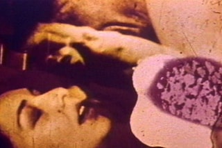 Dirty Looks_Carolee Schneeman_Fuses