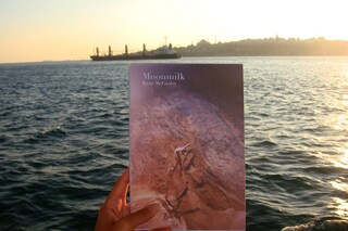 Cover of &#39;Moonmilk: Ryan McGinley&#39;