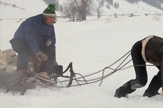 Training scenes in Rocky films