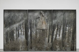 Anselm Kiefer, 'Karfunkelfee', 2009
