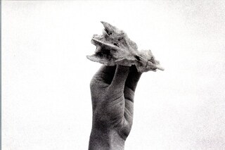 &quot;Untitled&quot; by Lina Schenius