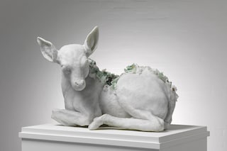 by Rebecca Stevenson
