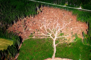 Joakim Berglund, 2006