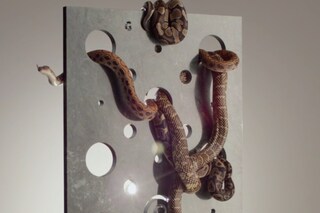 Screen shot 2013-09-13 at 18.03.55