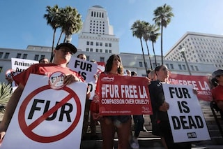 Los Angeles fur protest
