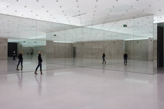 Carsten Holler, Half Mirror Room, 2008