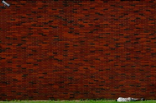 809339005_f58efb10bd_o