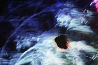 Jordan Basemen 'Courier' film still