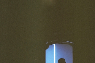 36560033