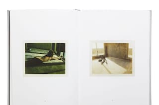 Guy Bourdin, Polaroids, Xavier Barral, 2015