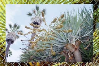  Live Wild LILAKHOSROVIAN_Petrichor3