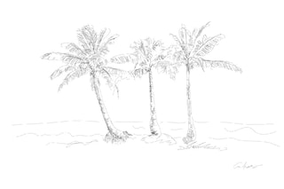 Three Palms, 2011