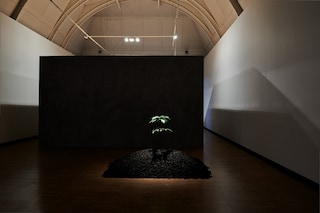 Rachel Pimm Converse Emerging Artists Award, Dazed