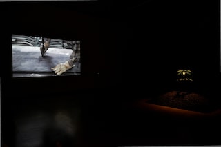 Rachel Pimm Converse Emerging Artists Award, Dazed