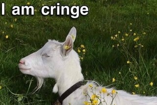 cringe goat