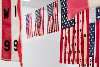 Cali Thornhill Dewitt’s 29 Flags