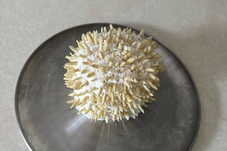 Brianna Hollingsworth Dishes