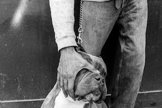 Alfie White