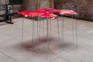 Julia Thompson ‘Leftovers’