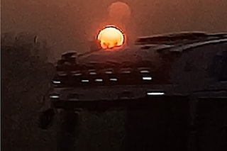 Linn Phyllis Seeger, true idle (2026)