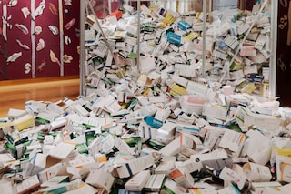 Jeanne Susplugas, “La Maison malade” (1999-2022)