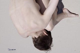 Nest, 2010 VIVIANE SASSEN, From the Sol &amp; Luna ser