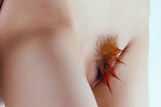 Alexandra Leese, Year of the Dragon 