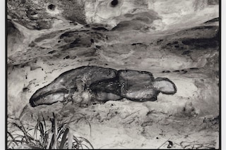 Ana Mendieta’s La Tierra Habla (The Earth Speaks)