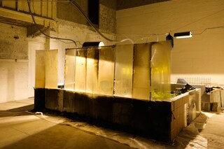 The Mechanical Garden and Other Long Encores