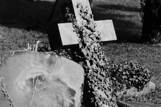 Paddy Summerfield’s Empty Days for PYLOT