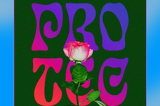Riposte’s Protection programme