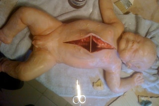 Human Centipede II