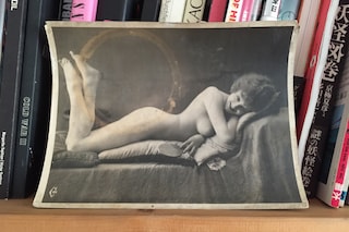 Gaspar No&#233;