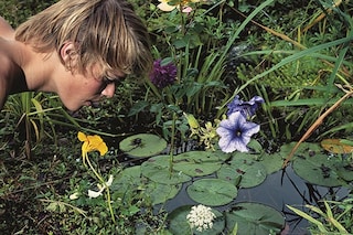 The Photographer in the Garden