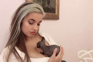 Mimi Wade