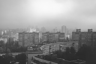 Egor Rogalev’s Synchronicity