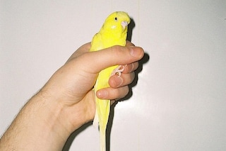 tumblr_n68zht0AgC1qf3r76o1_500