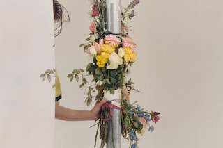 Harley Weir Dazed 100