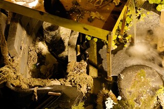 The Mechanical Garden and Other Long Encores