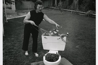 The Photographer in the Garden