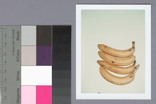 Andy Warhol, Bananas (1977-78)