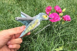 Competitive Joint Rolling